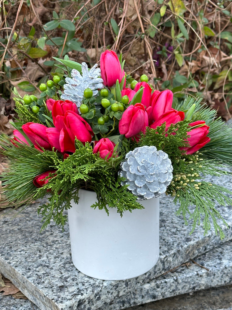 * A Seasonal Mix *- Holiday Tulip Combo