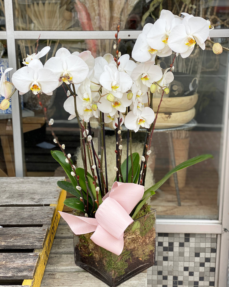 long narrow succulent planter Long and Low Succulent Planter – Mar Floral